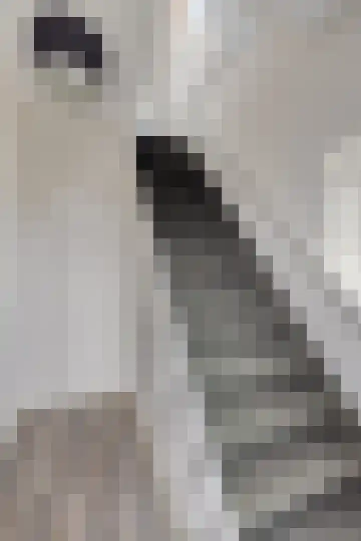 Scheivoor 1 A Ederveen thumbnail 19
