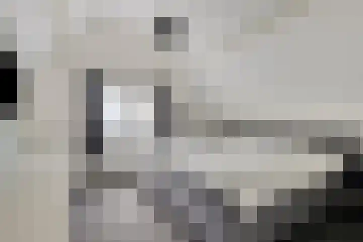 Scheivoor 1 A Ederveen thumbnail 21