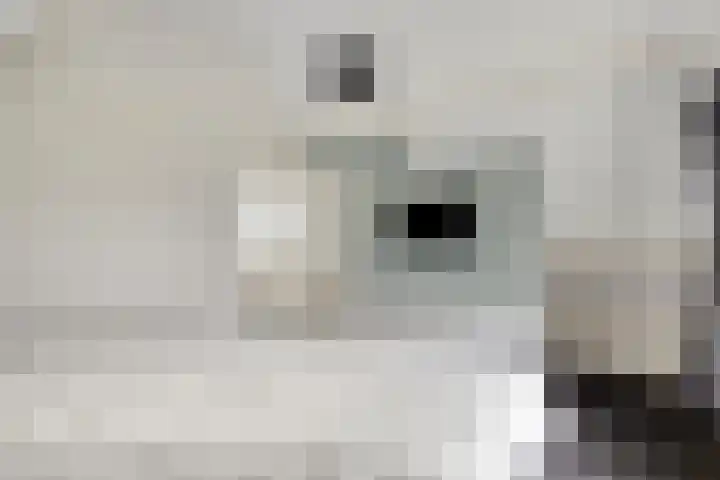 Scheivoor 1 A Ederveen thumbnail 22