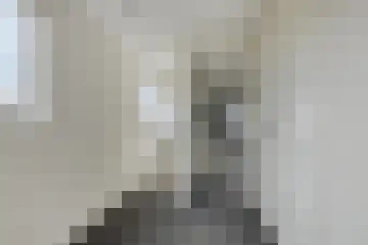 Scheivoor 1 A Ederveen thumbnail 23