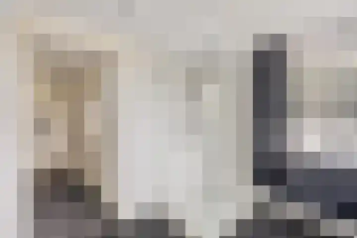 Scheivoor 1 A Ederveen thumbnail 25