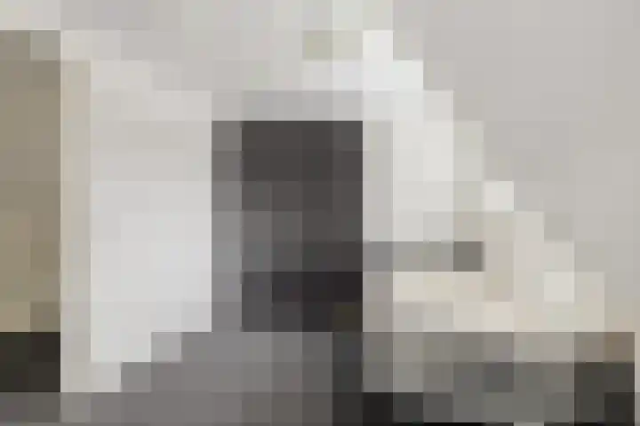 Scheivoor 1 A Ederveen thumbnail 29