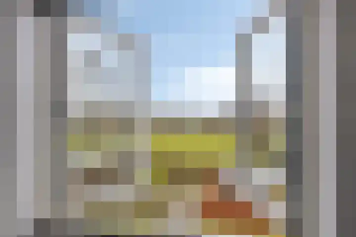 Scheivoor 1 A Ederveen thumbnail 30
