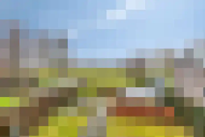 Scheivoor 1 A Ederveen thumbnail 31
