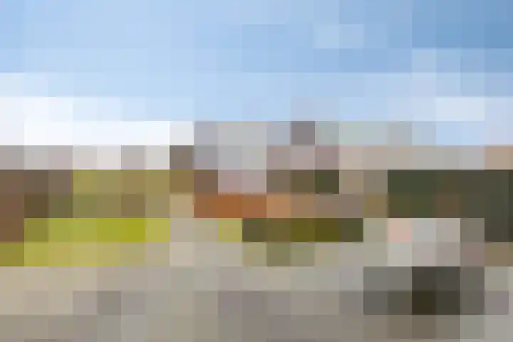 Scheivoor 1 A Ederveen thumbnail 33