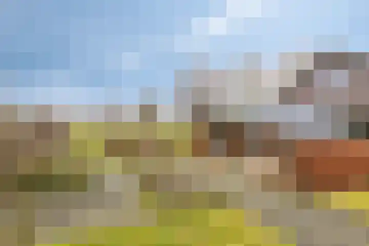 Scheivoor 1 A Ederveen thumbnail 34