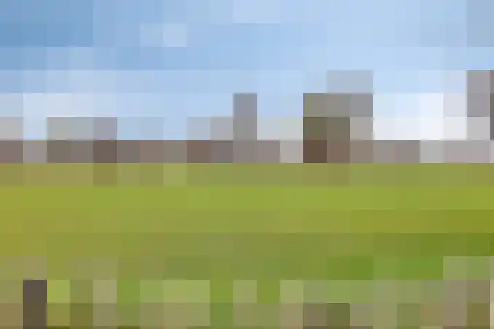 Scheivoor 1 A Ederveen thumbnail 35