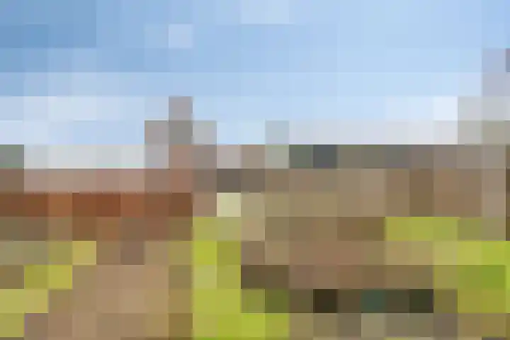 Scheivoor 1 A Ederveen thumbnail 36