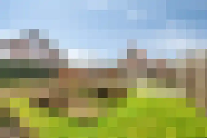 Scheivoor 1 A Ederveen thumbnail 37