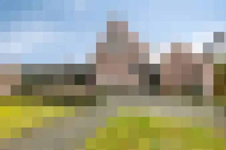 Scheivoor 1 A Ederveen thumbnail 38
