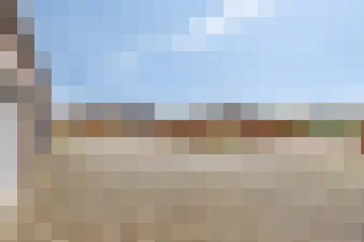 Scheivoor 1 A Ederveen thumbnail 39