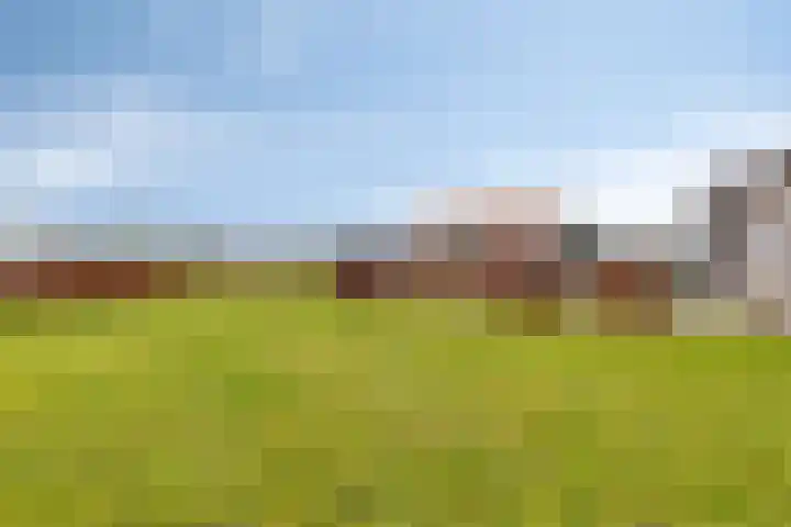 Scheivoor 1 A Ederveen thumbnail 41