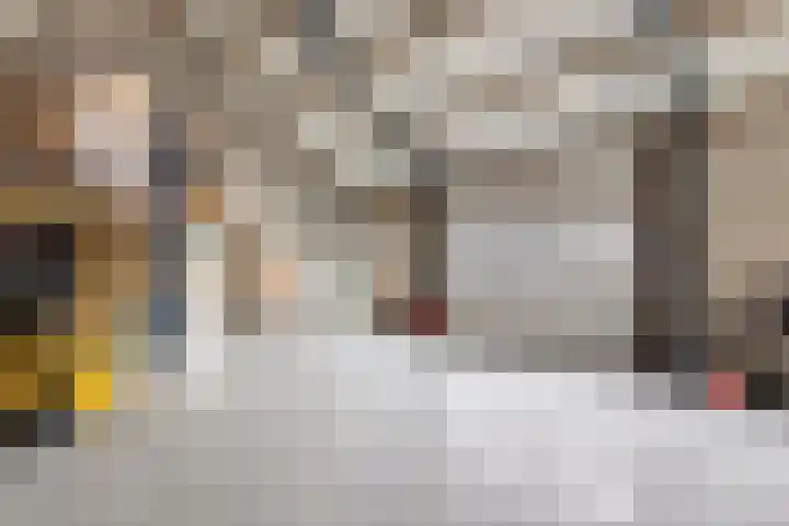 Scheivoor 1 A Ederveen thumbnail 45