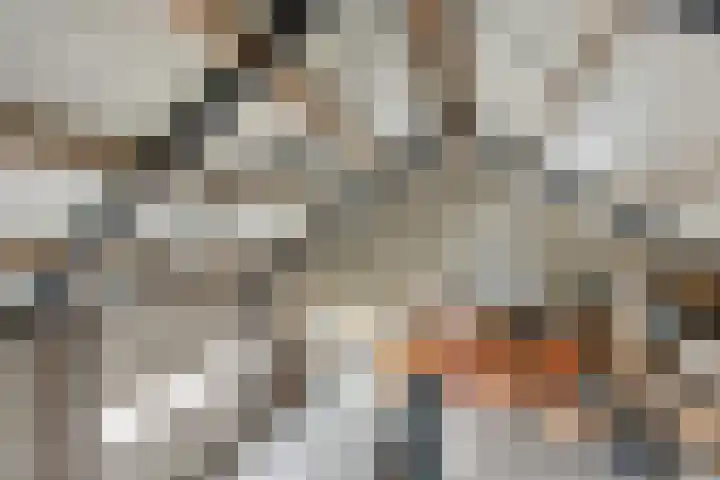 Scheivoor 1 A Ederveen thumbnail 47