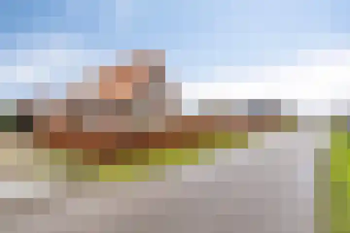 Scheivoor 1 A Ederveen thumbnail 6