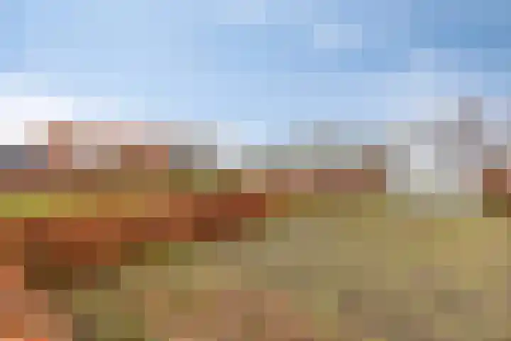 Scheivoor 1 A Ederveen thumbnail 61