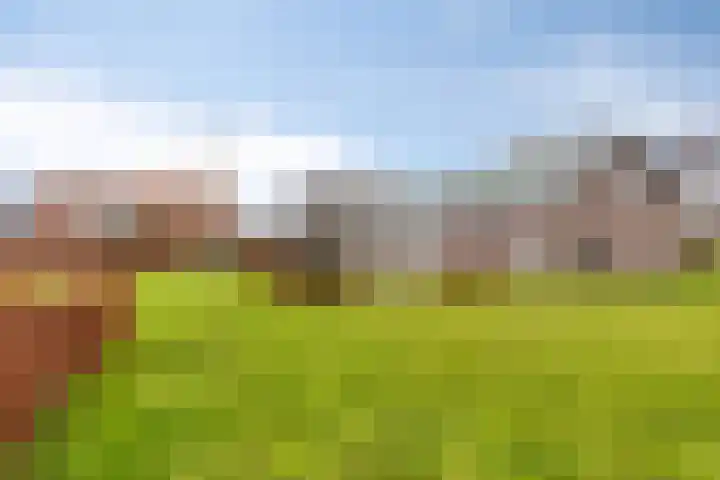Scheivoor 1 A Ederveen thumbnail 62