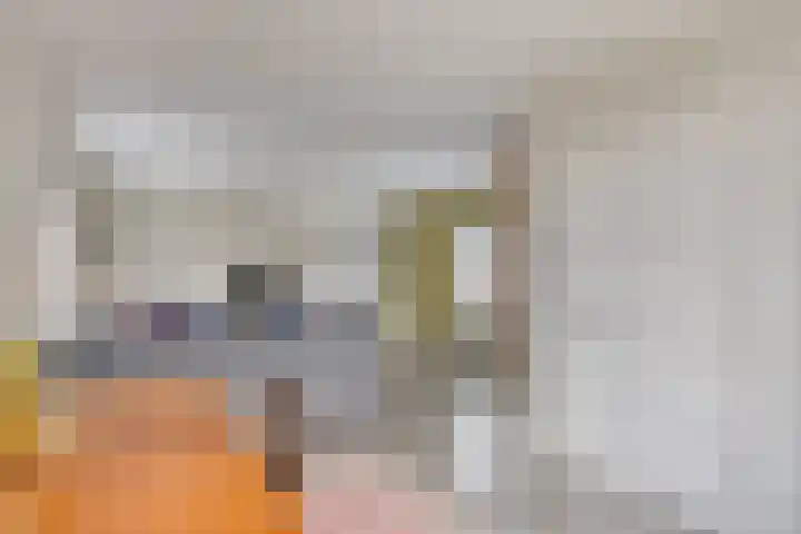 Scheivoor 1 A Ederveen thumbnail 7