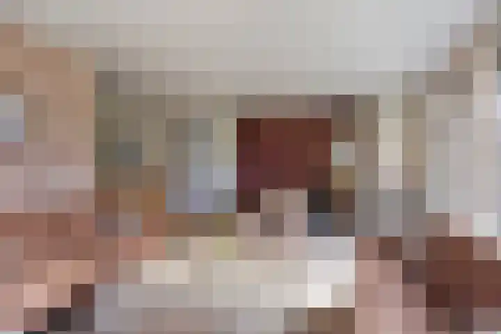Scheivoor 1 C Ederveen thumbnail 11