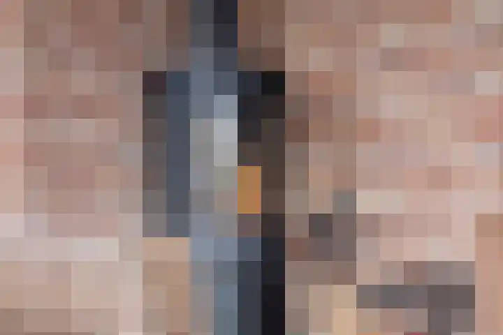 Scheivoor 1 C Ederveen thumbnail 13