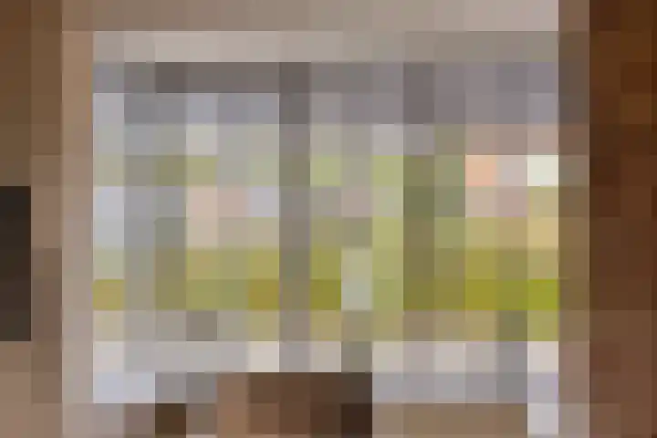 Scheivoor 1 C Ederveen thumbnail 14