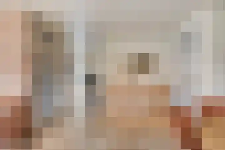 Scheivoor 1 C Ederveen thumbnail 17