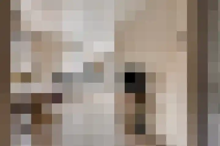 Scheivoor 1 C Ederveen thumbnail 19
