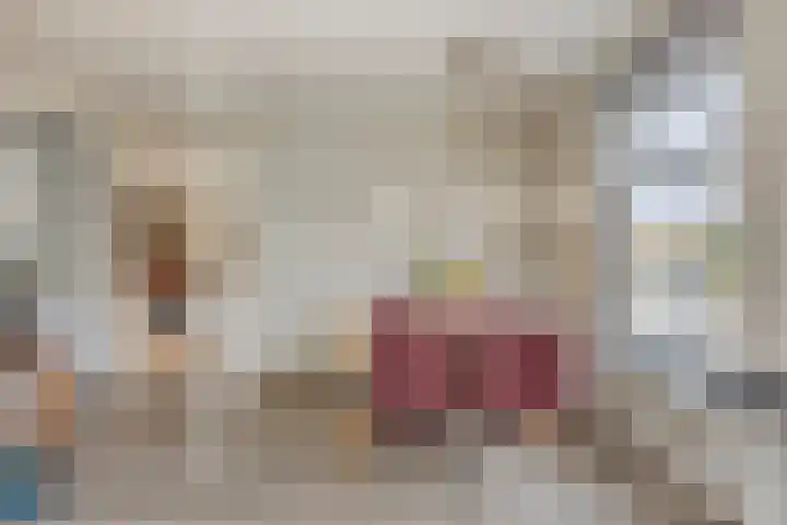 Scheivoor 1 C Ederveen thumbnail 21