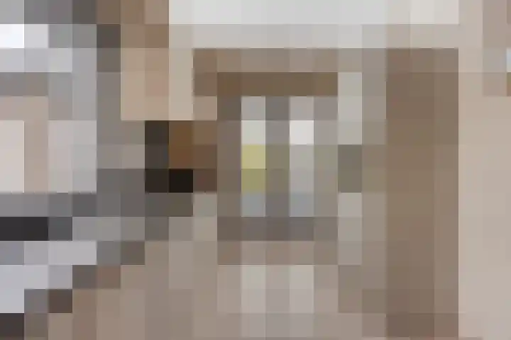 Scheivoor 1 C Ederveen thumbnail 22