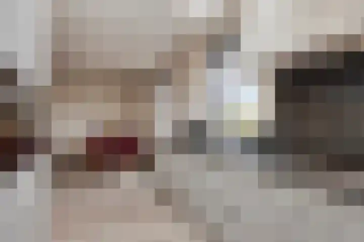 Scheivoor 1 C Ederveen thumbnail 23