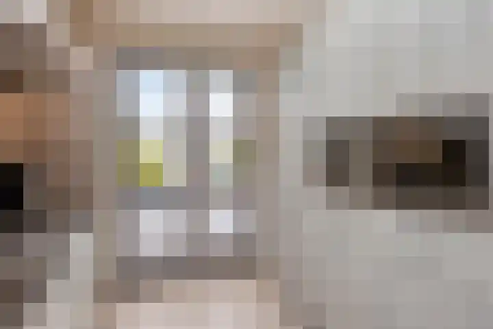 Scheivoor 1 C Ederveen thumbnail 24