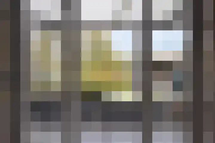 Scheivoor 1 C Ederveen thumbnail 26
