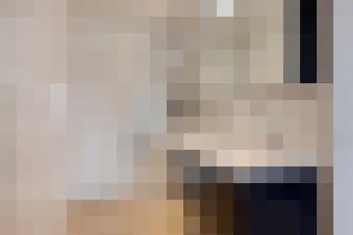 Scheivoor 1 C Ederveen thumbnail 34
