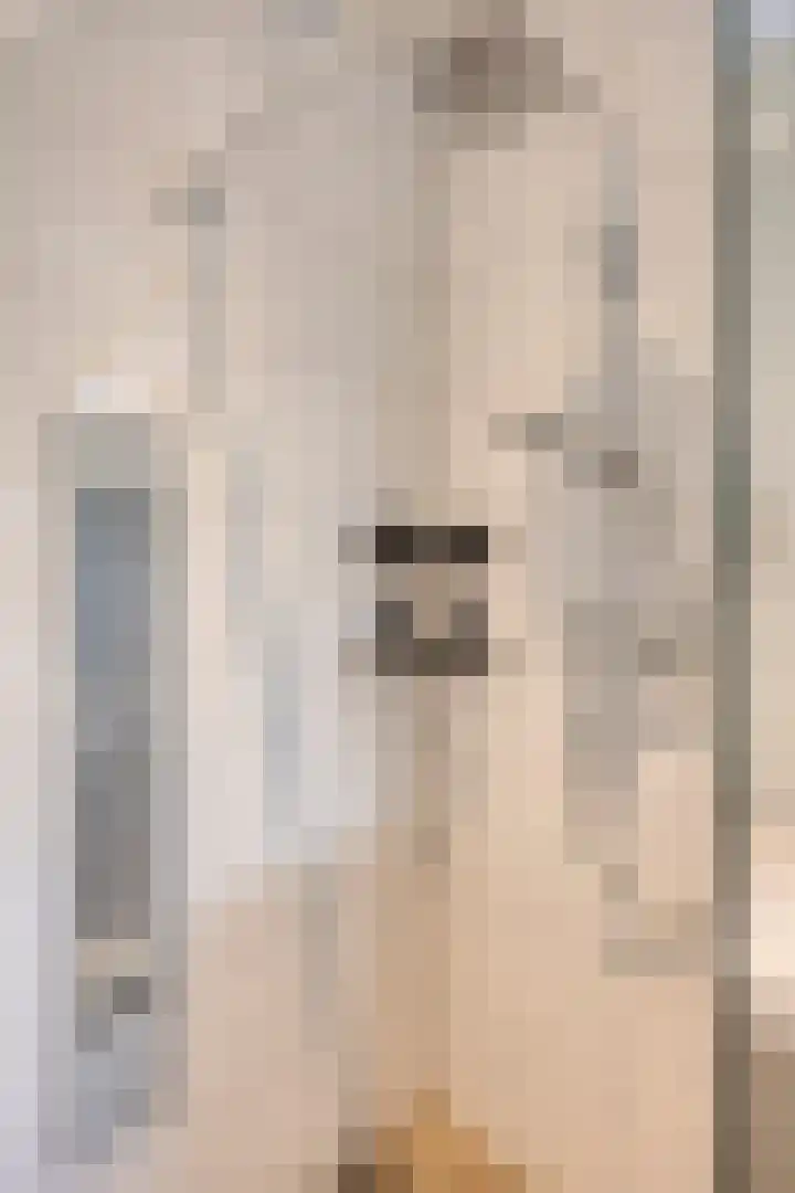 Scheivoor 1 C Ederveen thumbnail 35