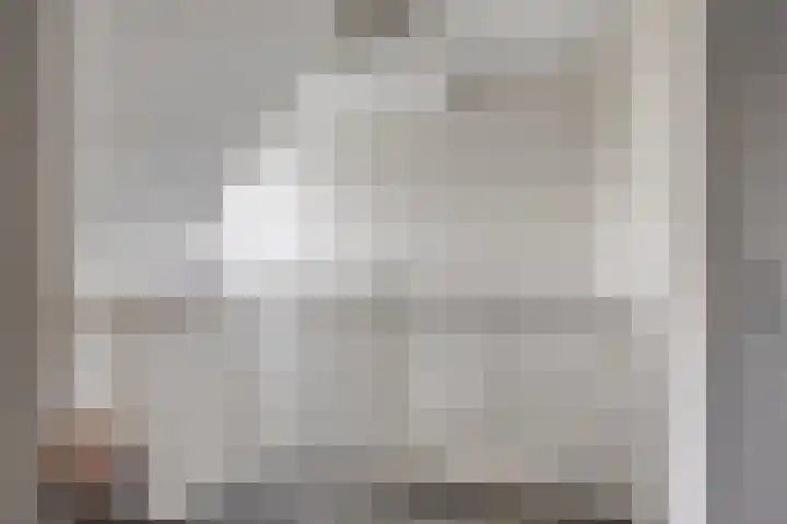 Scheivoor 1 C Ederveen thumbnail 37