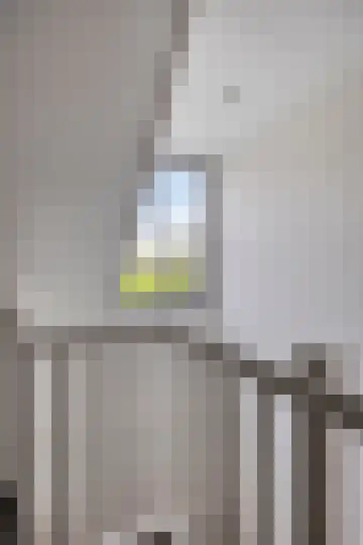 Scheivoor 1 C Ederveen thumbnail 39