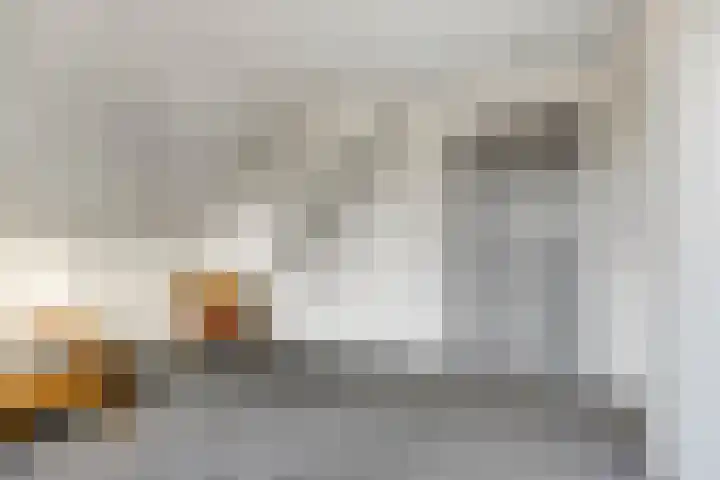 Scheivoor 1 C Ederveen thumbnail 40