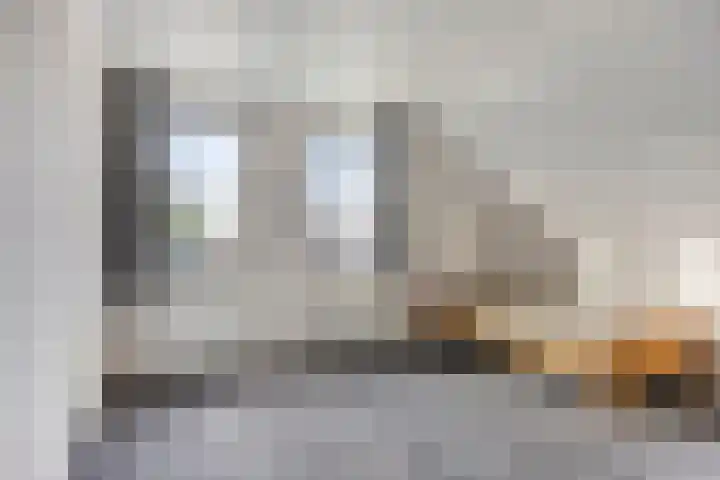Scheivoor 1 C Ederveen thumbnail 41