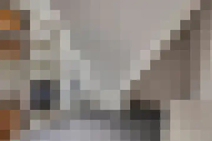 Scheivoor 1 C Ederveen thumbnail 43