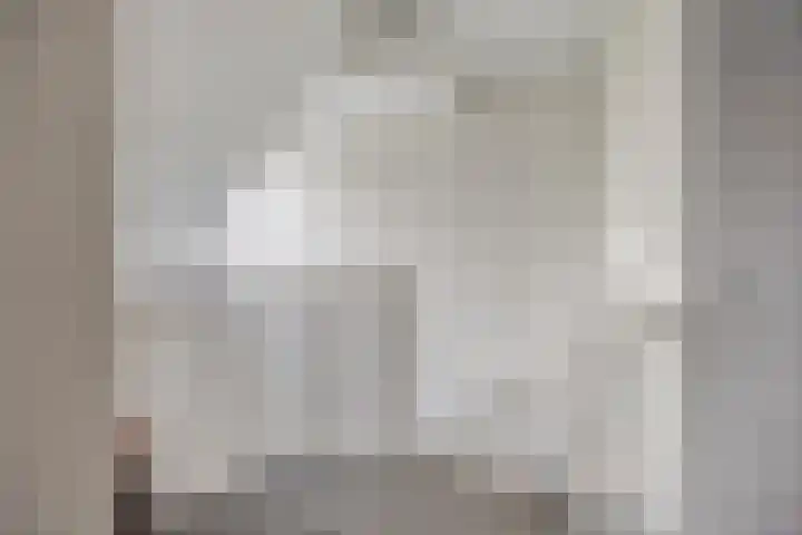 Scheivoor 1 C Ederveen thumbnail 45