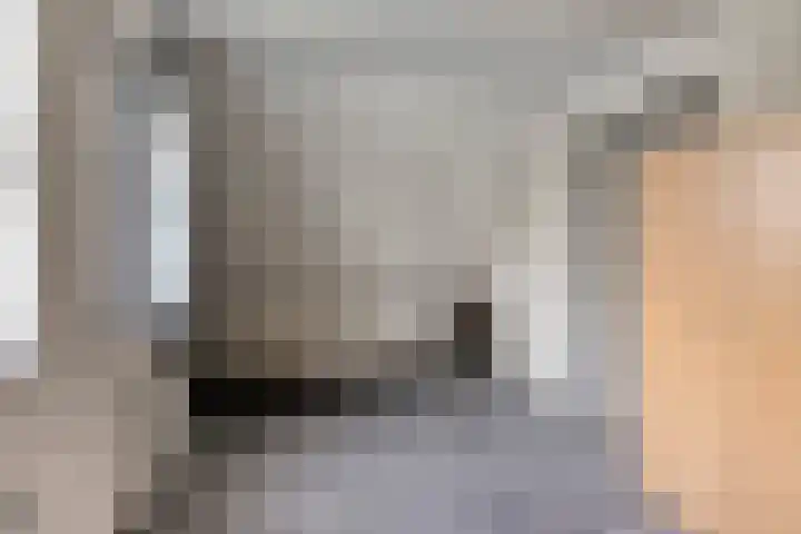 Scheivoor 1 C Ederveen thumbnail 46