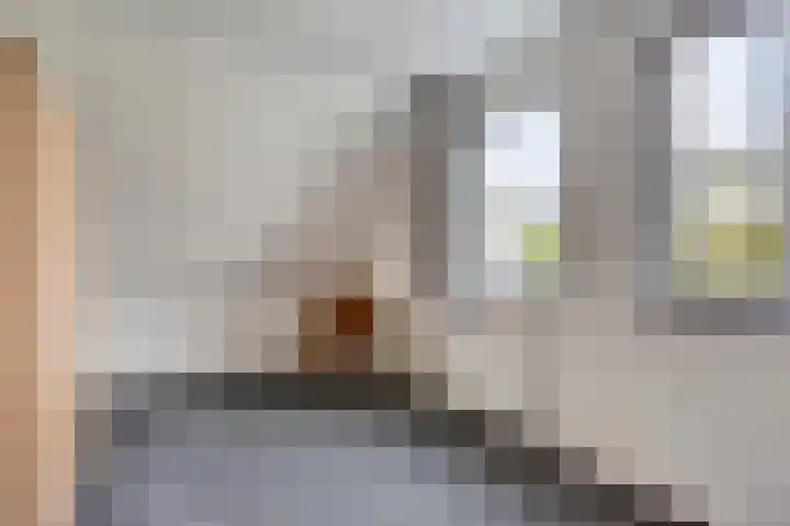 Scheivoor 1 C Ederveen thumbnail 47