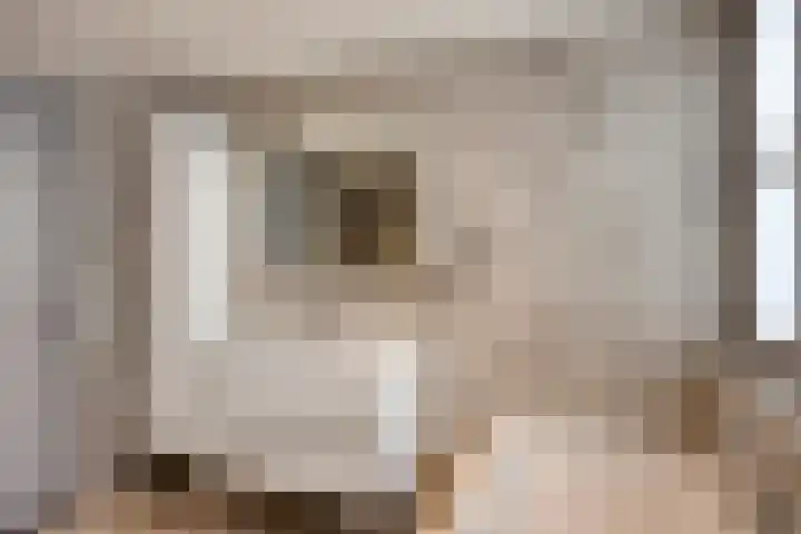 Scheivoor 1 C Ederveen thumbnail 51