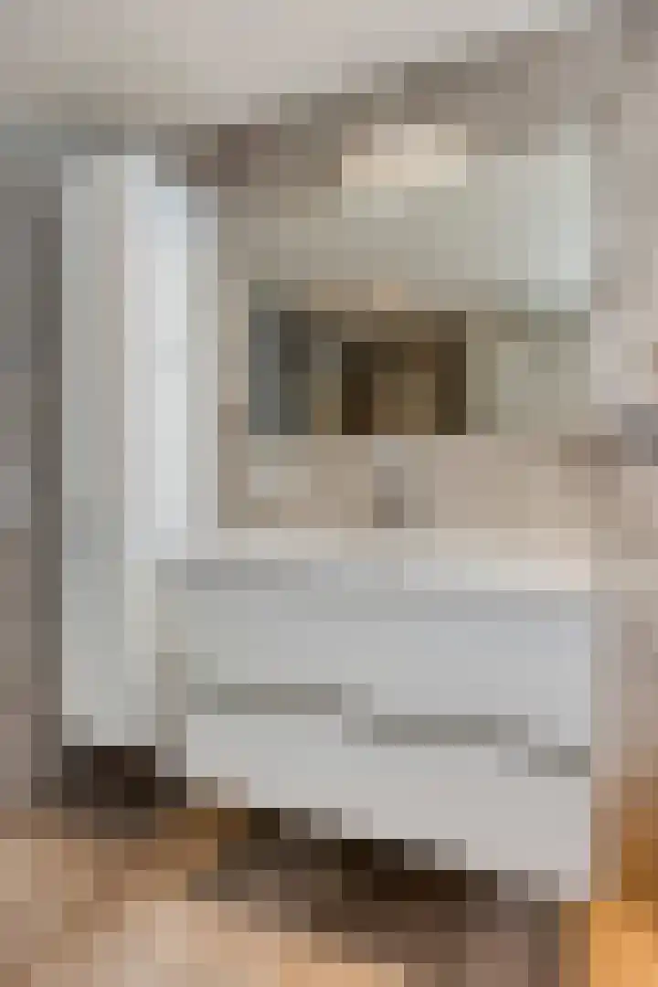 Scheivoor 1 C Ederveen thumbnail 52