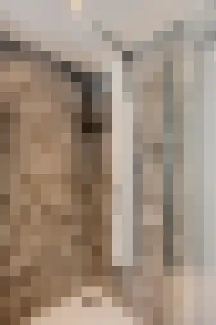Scheivoor 1 C Ederveen thumbnail 54