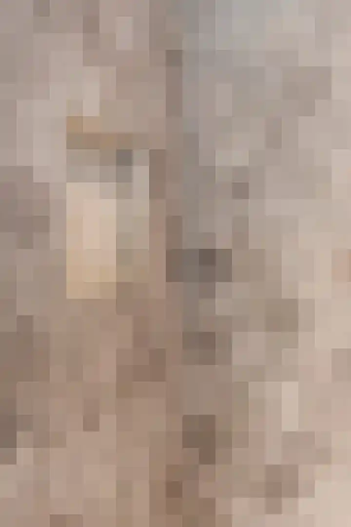 Scheivoor 1 C Ederveen thumbnail 55