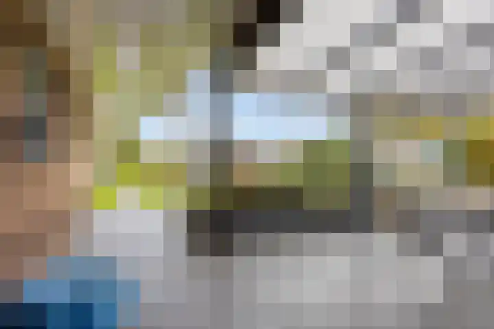 Scheivoor 1 C Ederveen thumbnail 57