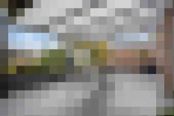 Scheivoor 1 C Ederveen thumbnail 58
