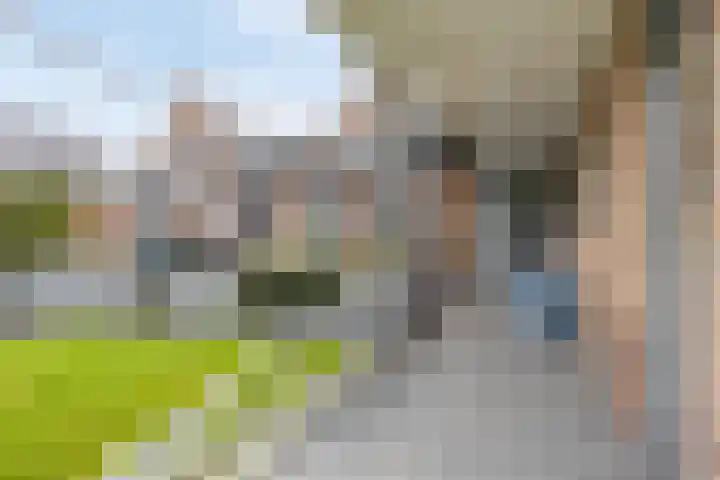 Scheivoor 1 C Ederveen thumbnail 60