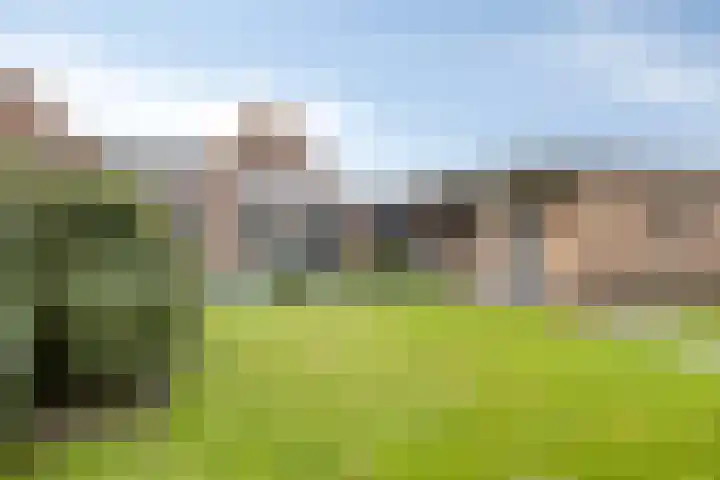 Scheivoor 1 C Ederveen thumbnail 61